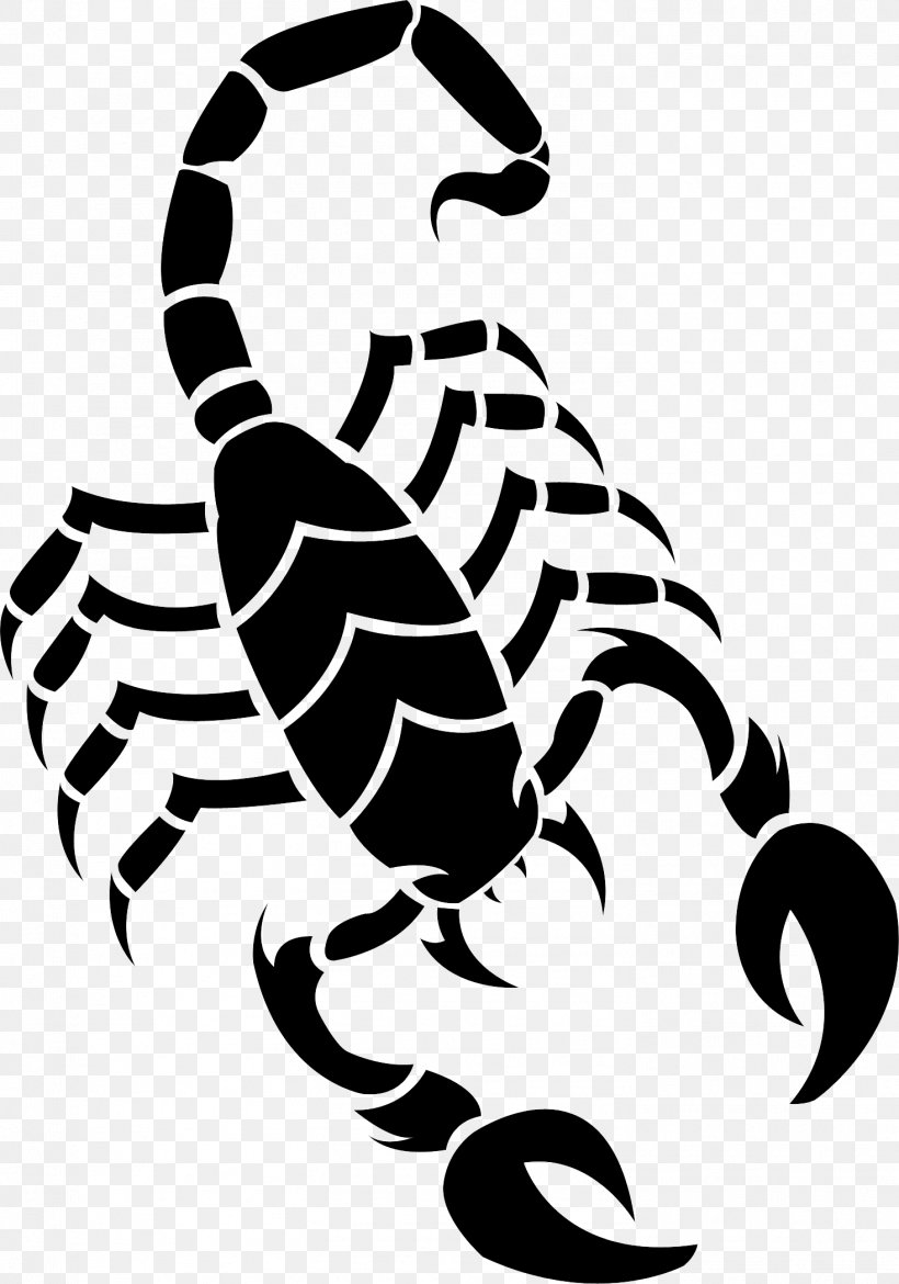 Scorpion Drawing Clip Art, PNG, 1469x2097px, Scorpion.