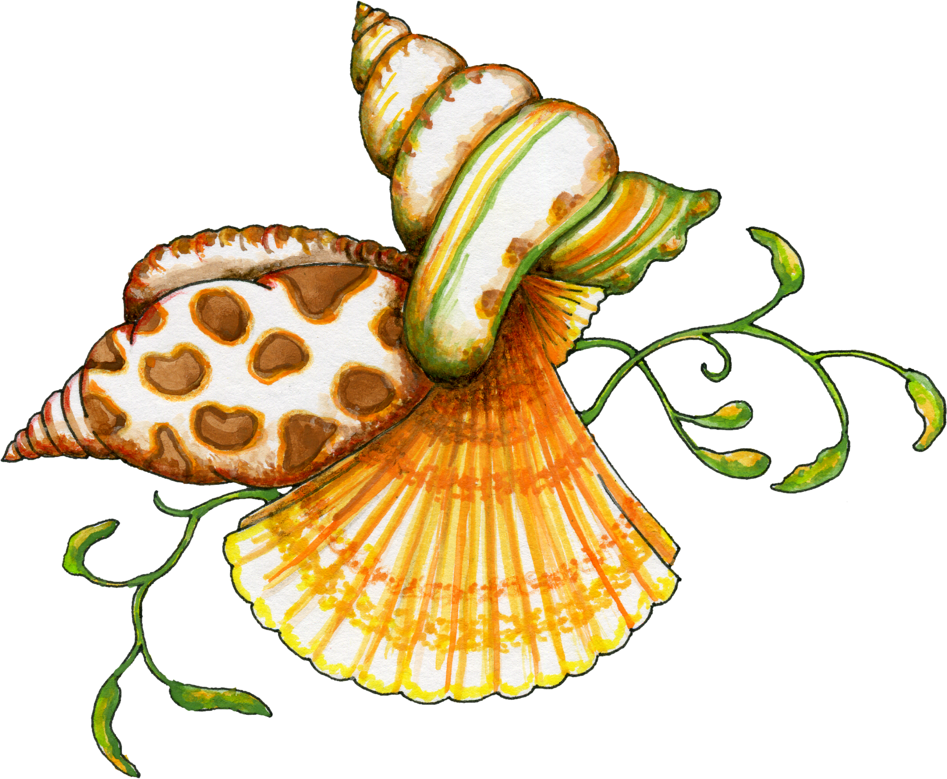 Seashells Clipart & Seashells Clip Art Images.