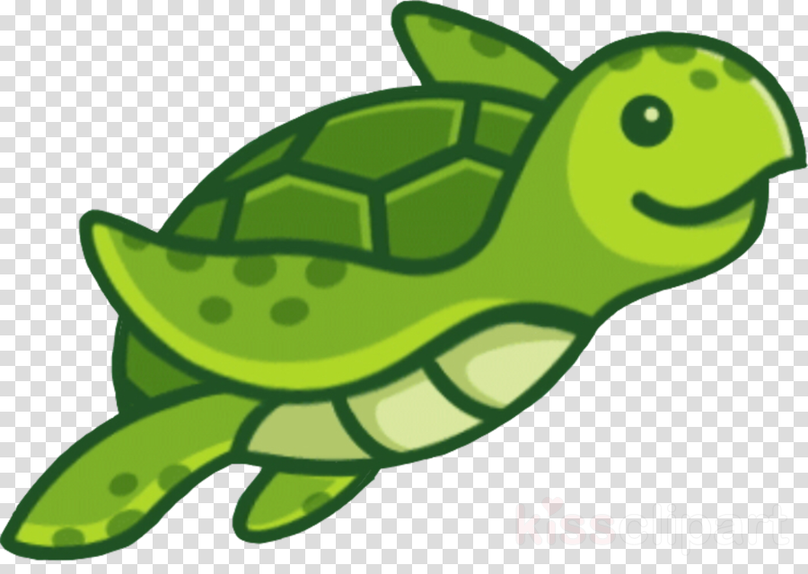 sea turtle green green sea turtle turtle cartoon clipart.