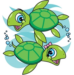 100582 Turtles Girl & Boy ….