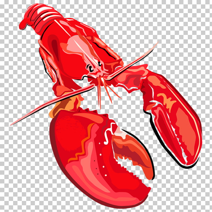 Lobster Seafood , Boston lobster PNG clipart.