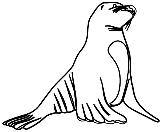 Seal Clip Art Black And White.