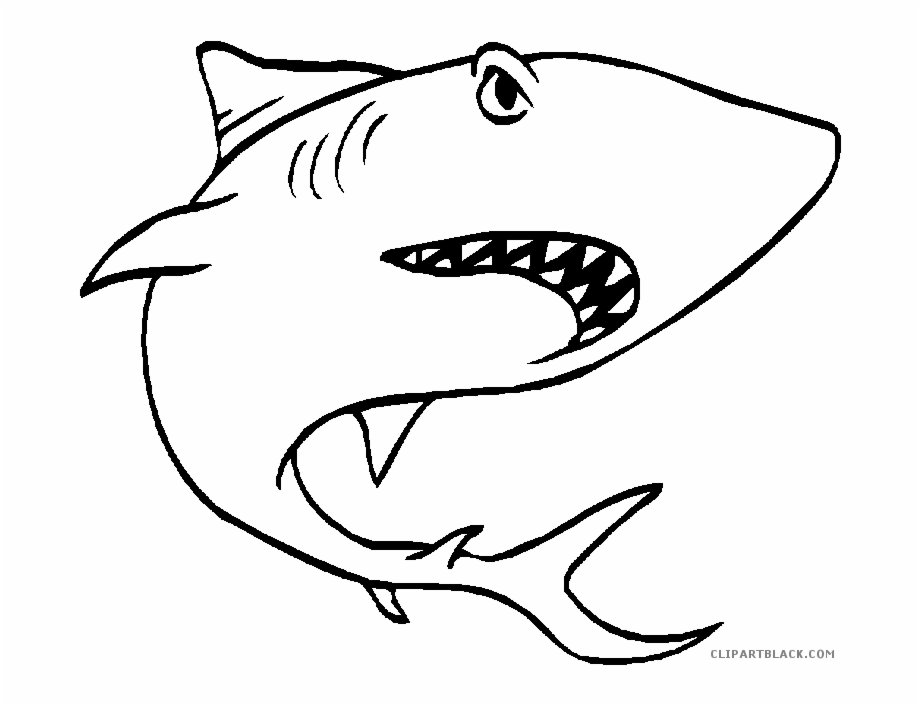 Black And White Shark Animal Free Black White Clipart.