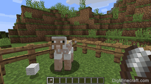 How to Shear a Sheep in Minecraft.