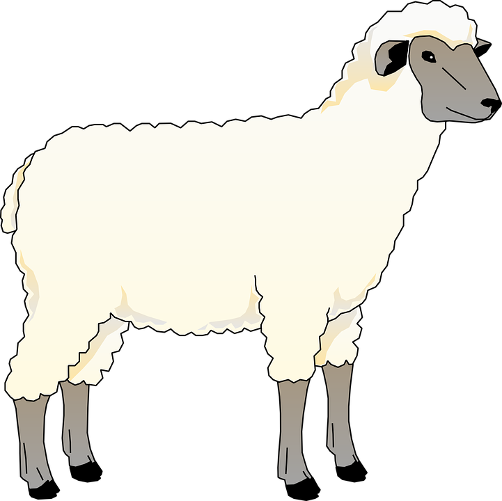 Free vector graphic: Sheep, Animal, Barn, Farm, Mammal.