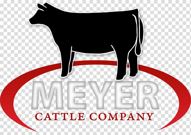 Meyer Cattle Company, Angus Cattle Shorthorn Gelbvieh.