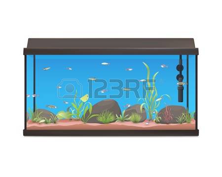 32,724 Aquarium Stock Vector Illustration And Royalty Free.