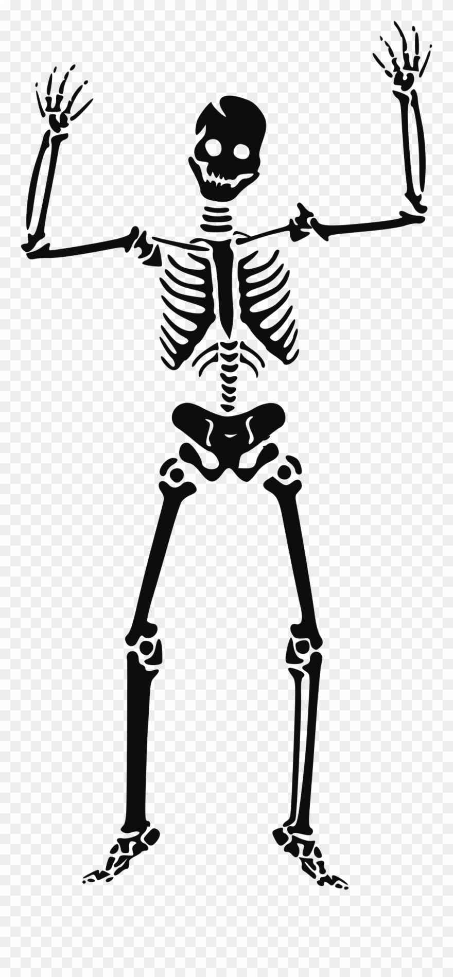 Skeleton Clipart Transparent.