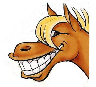 Pix For > Cute Cartoon Horse Face.