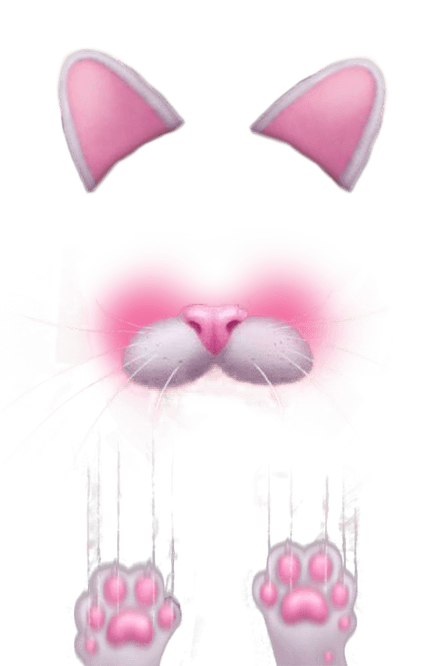 Snapchat Filter Kitten transparent PNG.