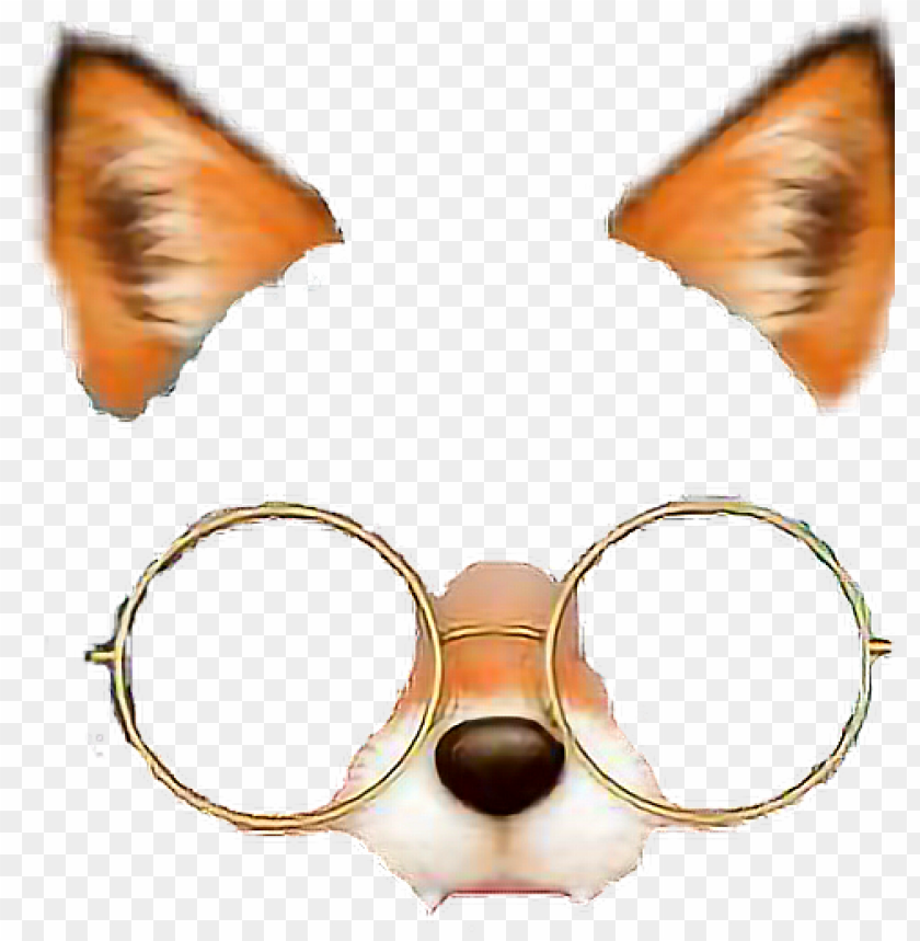 fox foxfilter glasses filter.