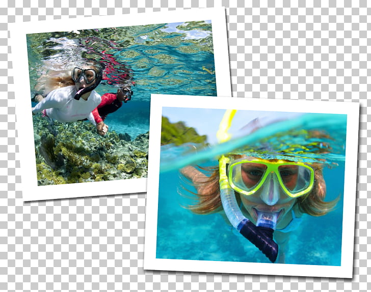 Underwater diving Scuba diving Snorkeling Free.