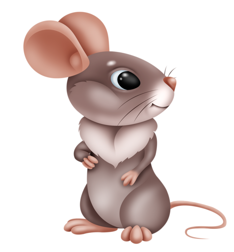 Png souris 1 » PNG Image.