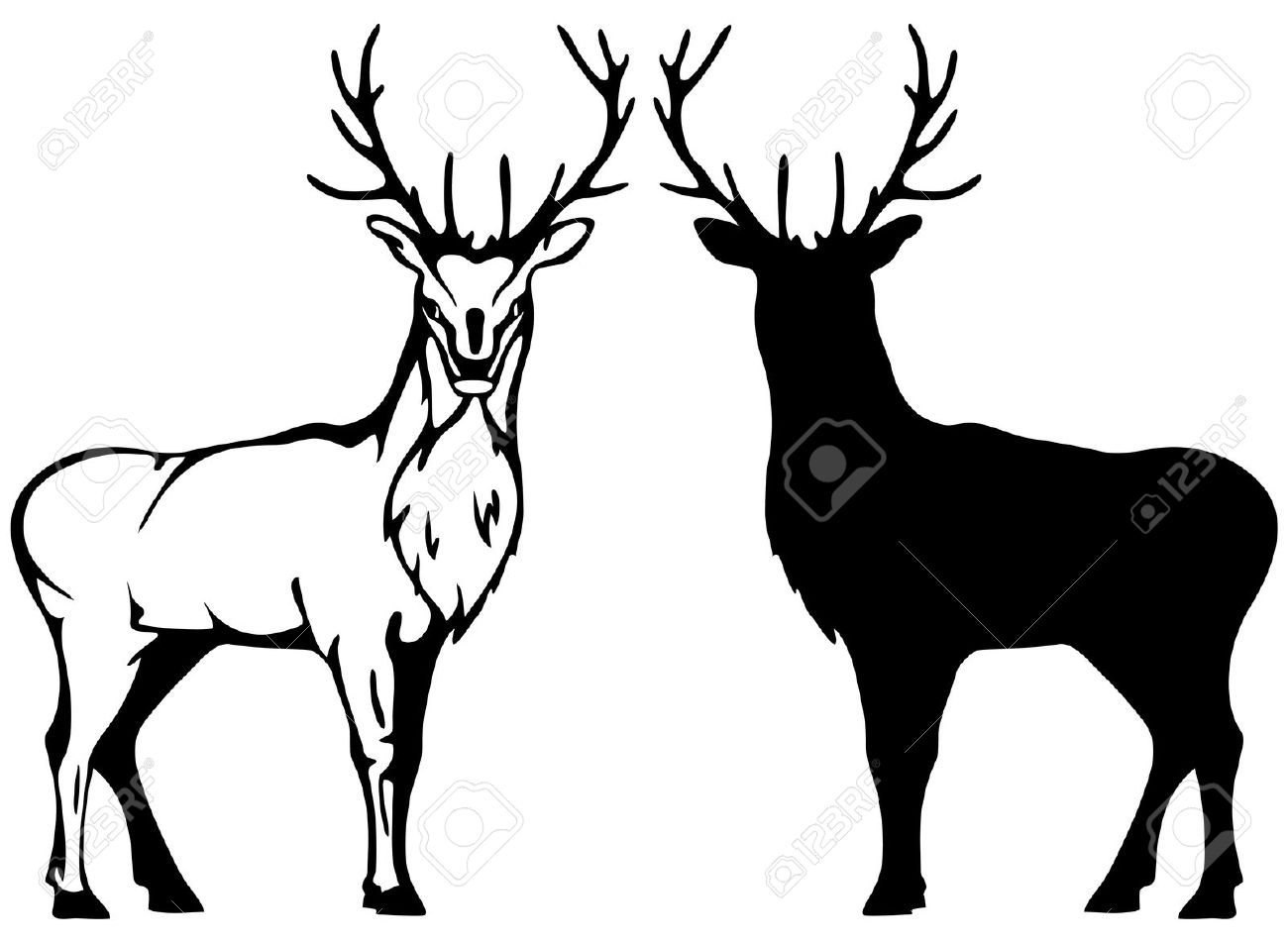 7,379 Stag Stock Illustrations, Cliparts And Royalty Free Stag Vectors.