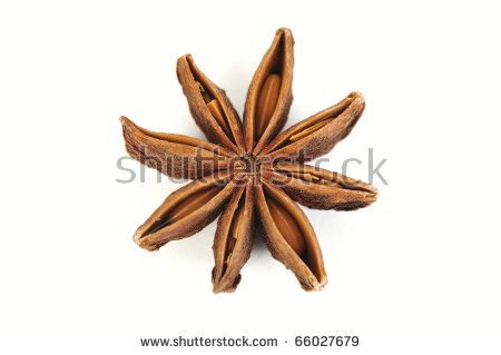 Vanilla Flower Vector Stock Vector 532164385.