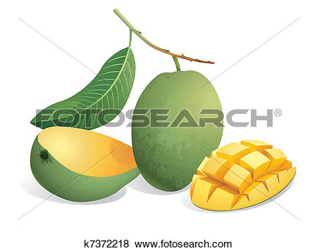 Stone fruit Clipart Illustrations. 382 stone fruit clip art vector.