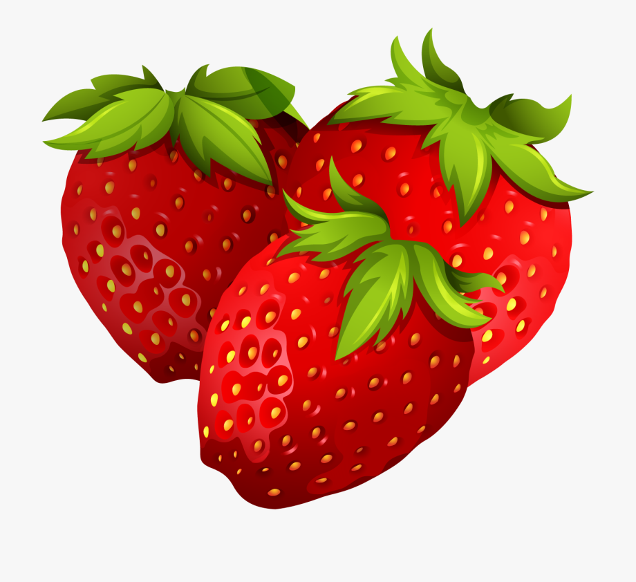 Stem Drawing Strawberry.