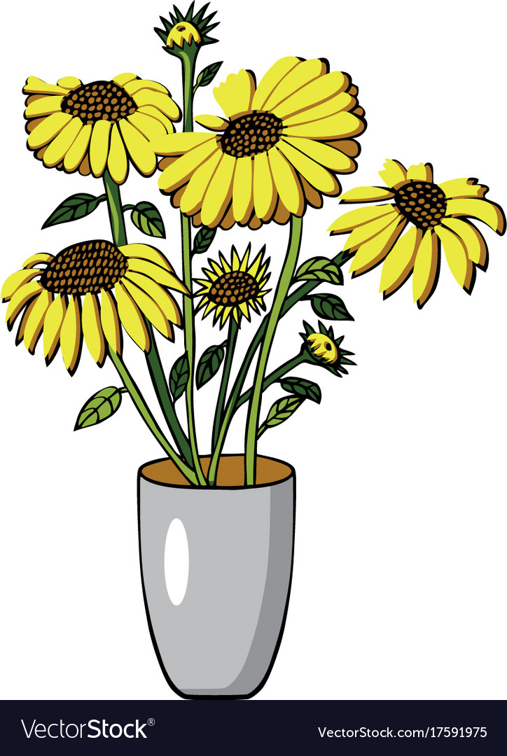 Sunflower in vase on white.