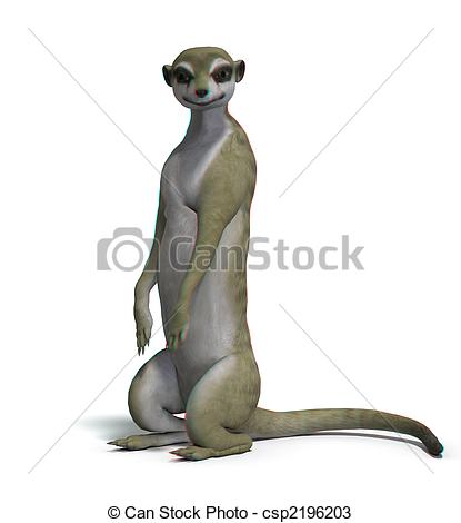 Suricata suricatta Illustrations and Clipart. 27 Suricata.