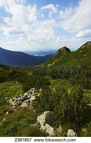 Picture of Hiking trail on Gubalowka mountain in Tatra mountains.