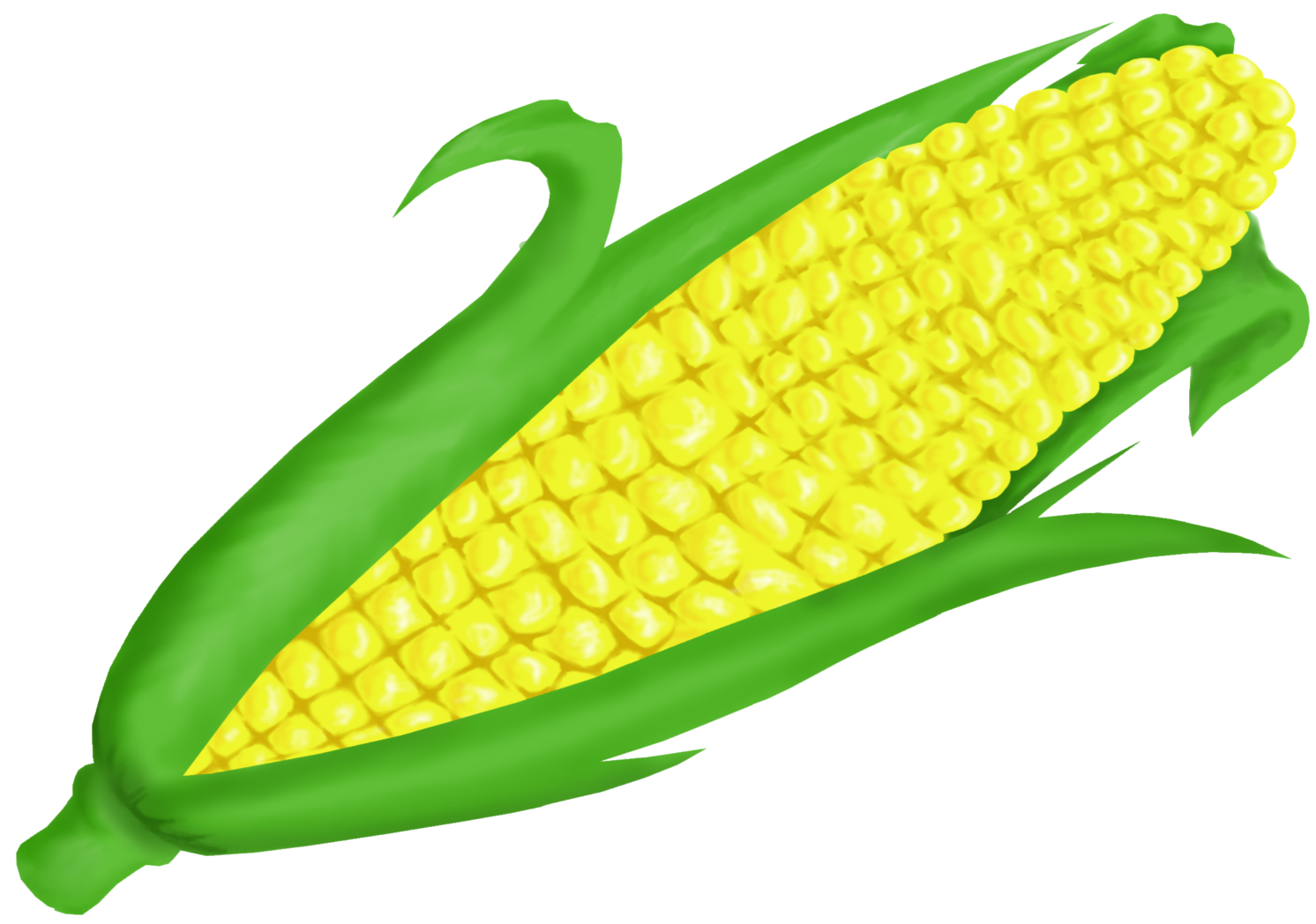 Corn clipart 2.