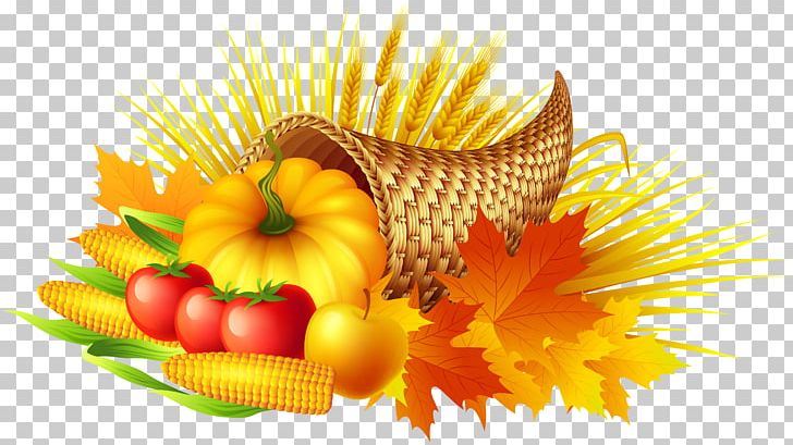 Thanksgiving Cornucopia Pumpkin Pie PNG, Clipart, Blog.