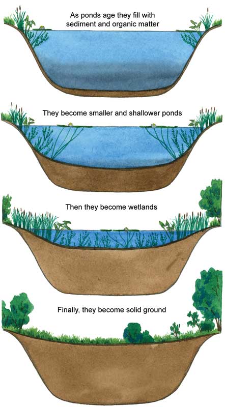 Lakes and Ponds.