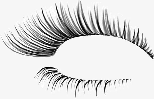 Thick Eyelashes Thin Holiday PNG, Clipart, Beauty, Beauty.