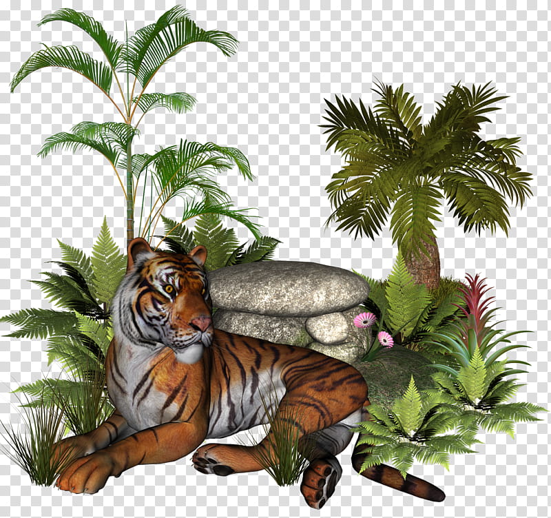 Plants and rocks , brown tiger sitting front of palm plant.