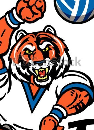 Vectors Illustration of tiger volleyball.