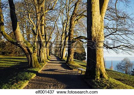 Picture of Germany, Baden.