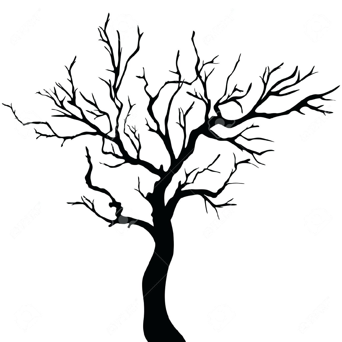 Images Of Tree Branches Clipart.