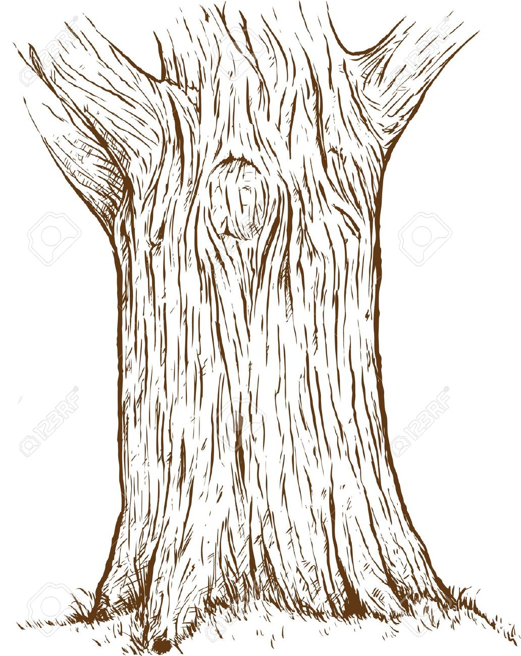 Tree bark clipart.