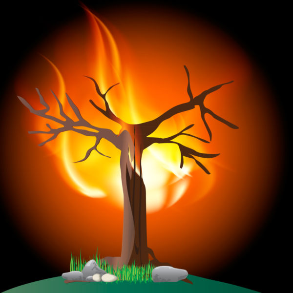 Burning tree clip art.