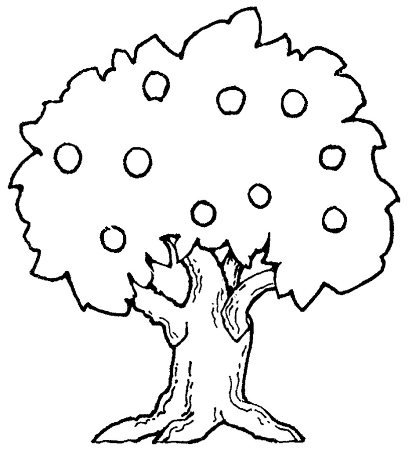 Best Tree Clipart Black And White #18954.