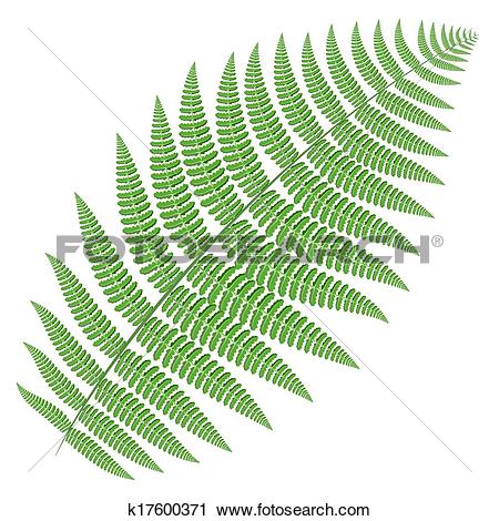 Clipart of tree fern k17600371.