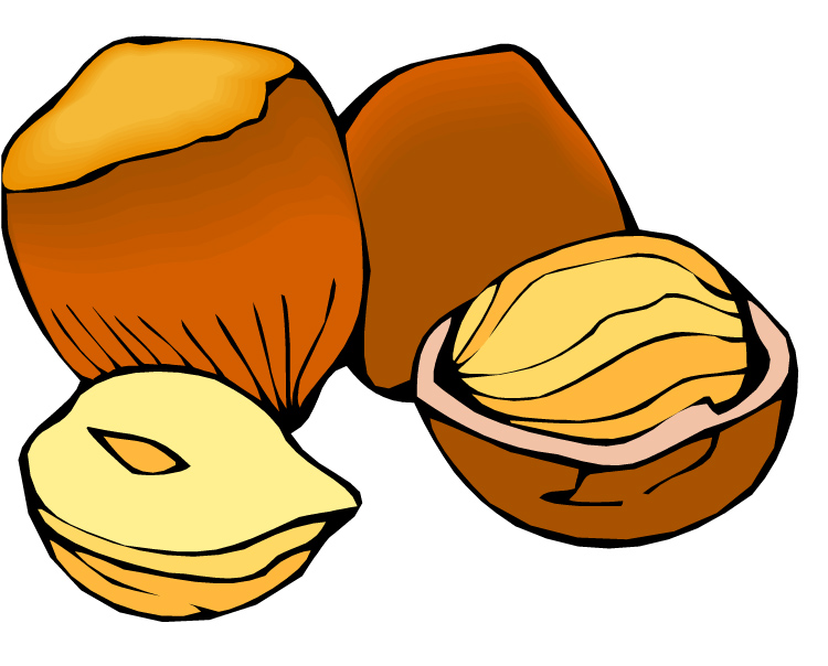 Tree nut clipart.