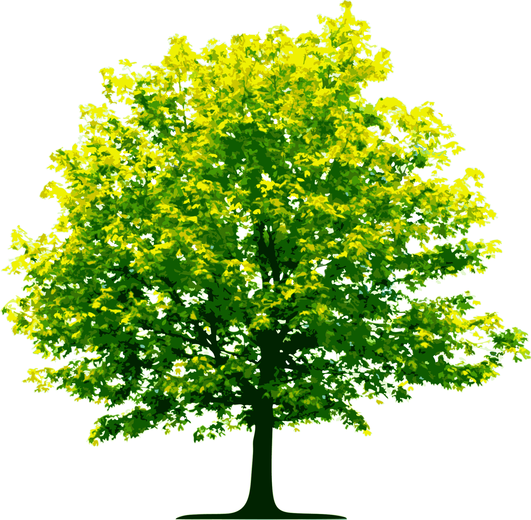 Download Tree Png Image Download Picture HQ PNG Image.