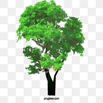 Tree PNG Images.