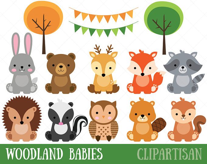 Woodland Friends 2. Watercolor animals clipart, forest, deer.