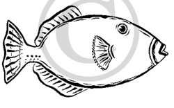 Triggerfish Clipart.