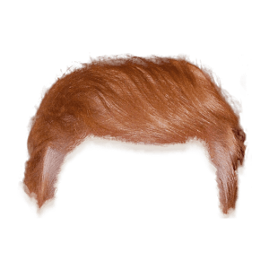 Donald Trump Hair transparent PNG.