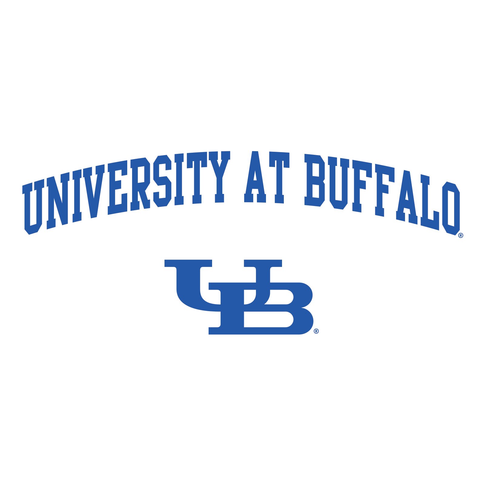 University at Buffalo Bulls Arch Logo T Shirt.