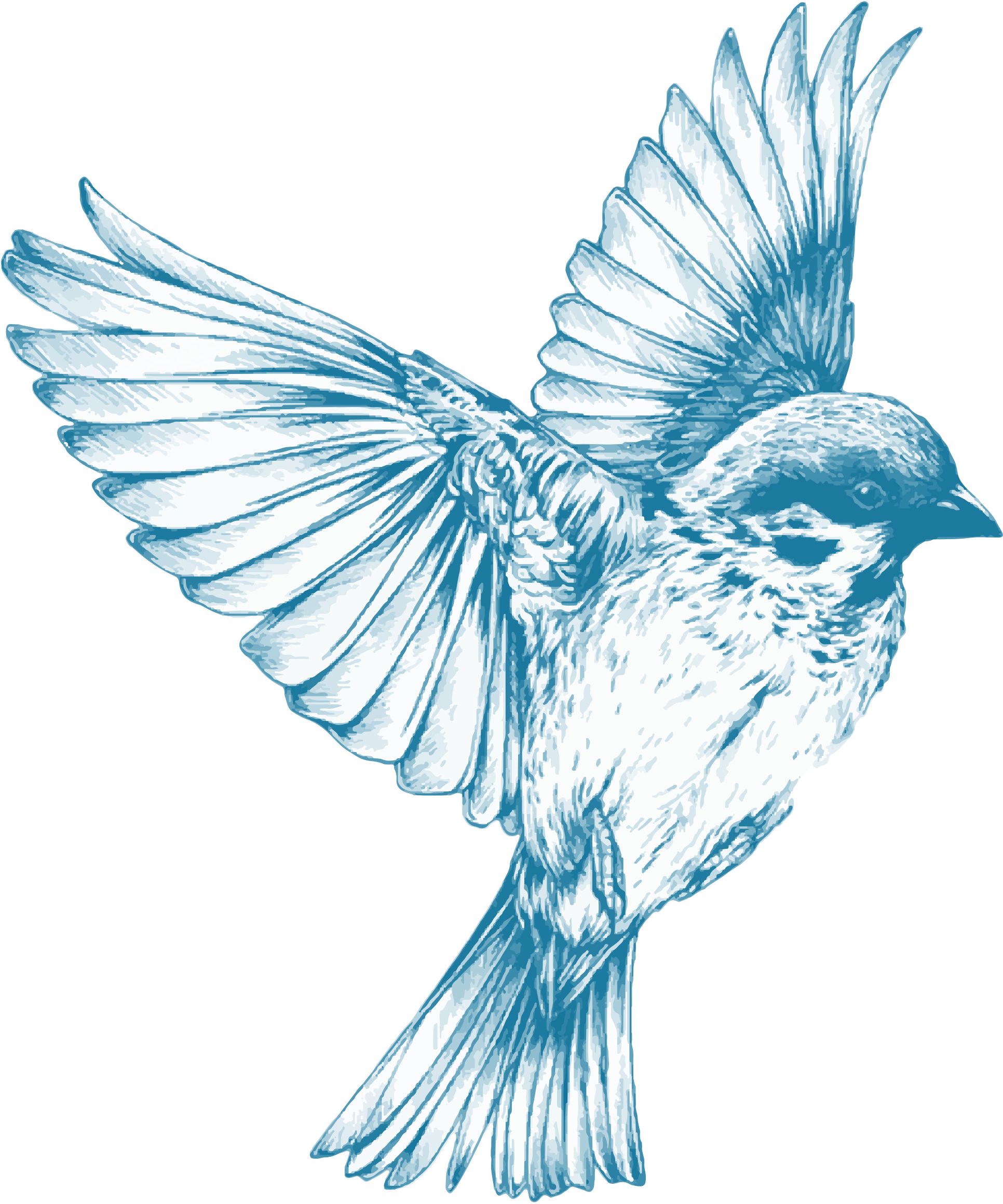 Vintage Blue Bird Clipart.