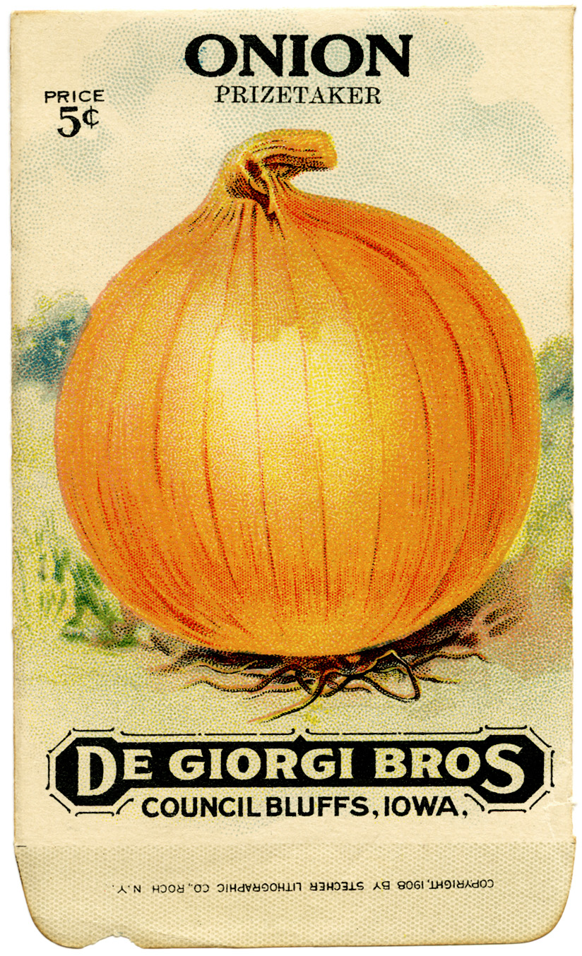 De Giorgi Bros Vintage Onion Seed Packet.