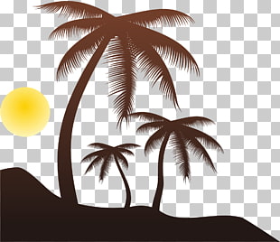 568 beach Silhouette PNG cliparts for free download.