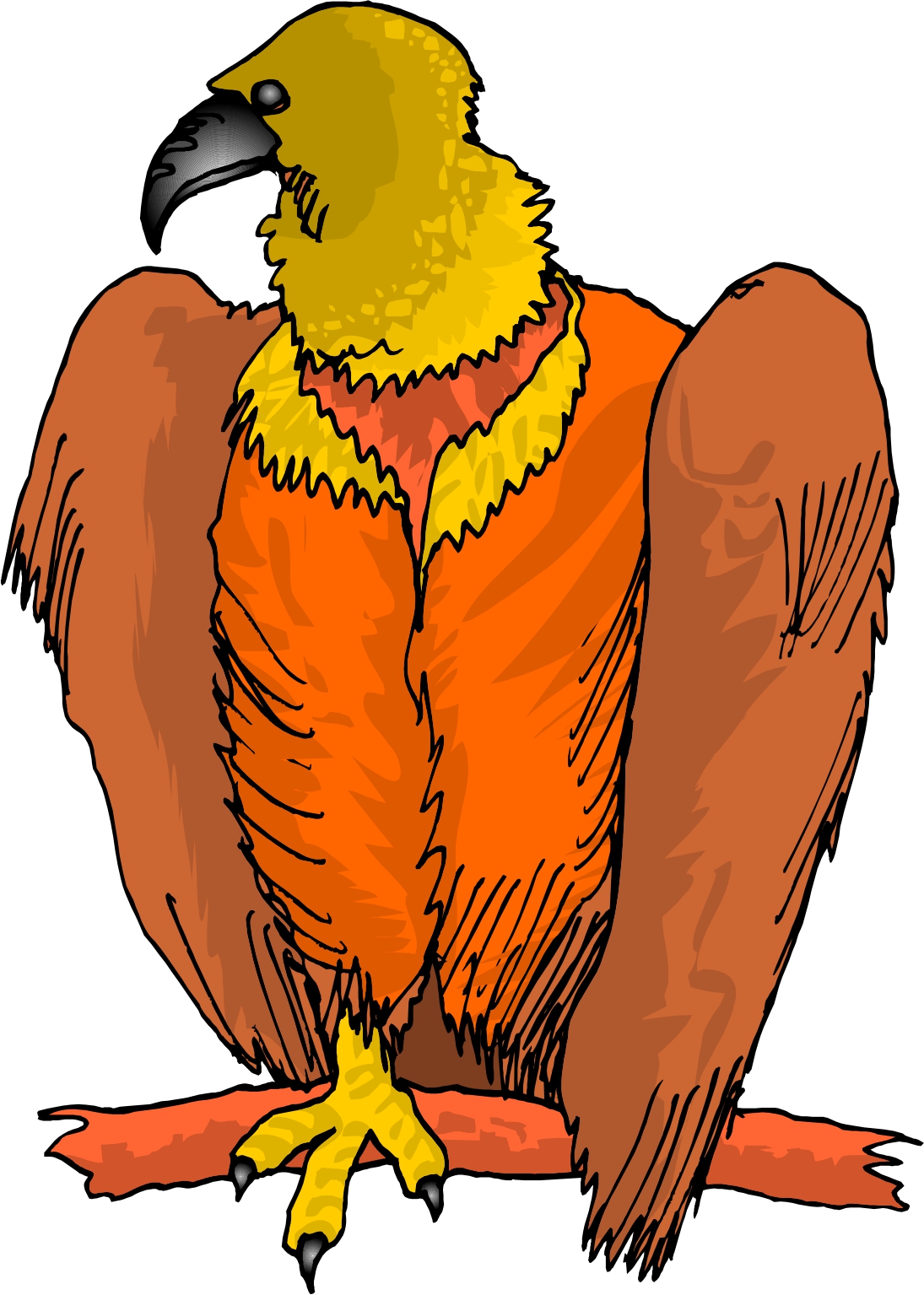 Vulture Clipart.