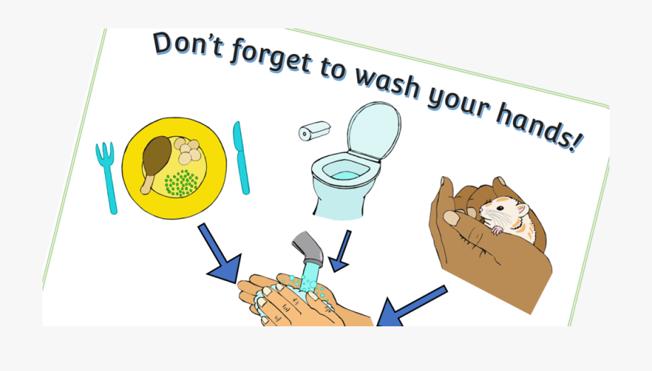 Free Wash Hands Poster Early Years Printable Resource.