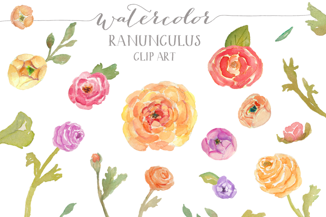 Watercolor Clipart.