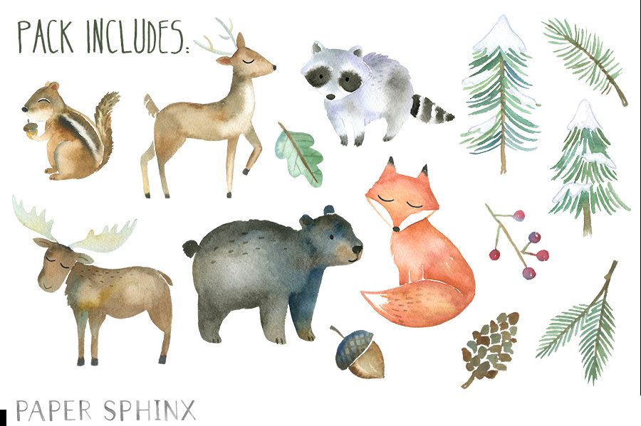 Watercolor Forest Animals at GetDrawings.com.